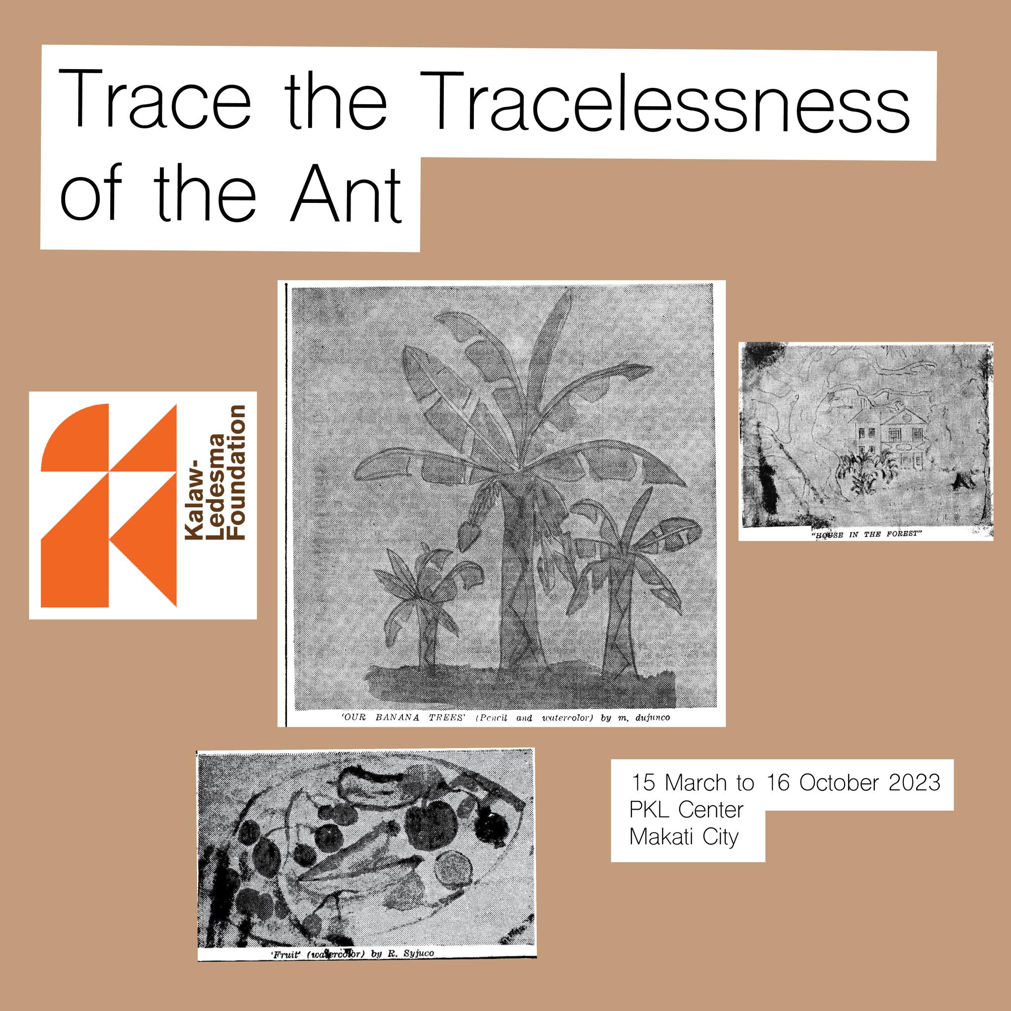 Trace the Tracelessness of the Ant